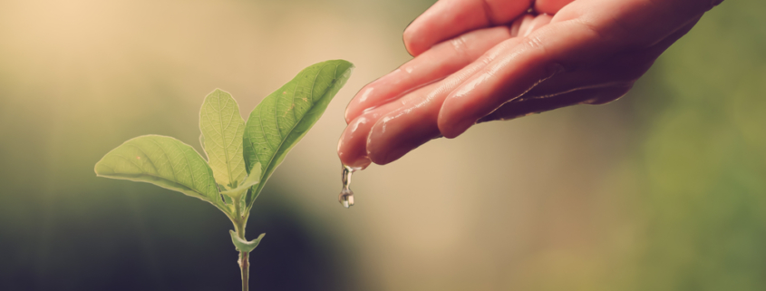 Percorsi di volontariato: Shernille vorrebbe occuparsi della tutela dell'ambiente